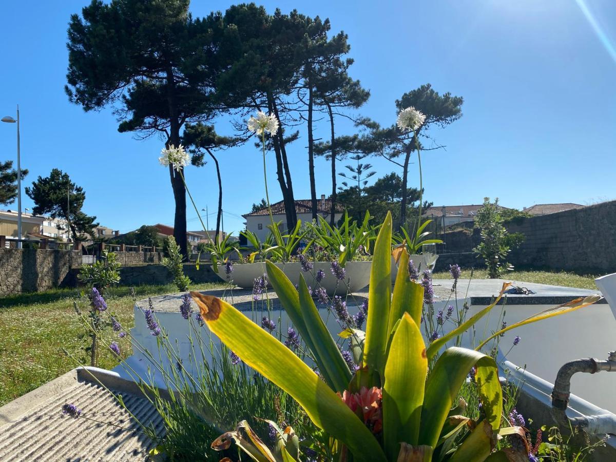 Beach House With Swimming Pool Vila do Conde Eksteriør billede